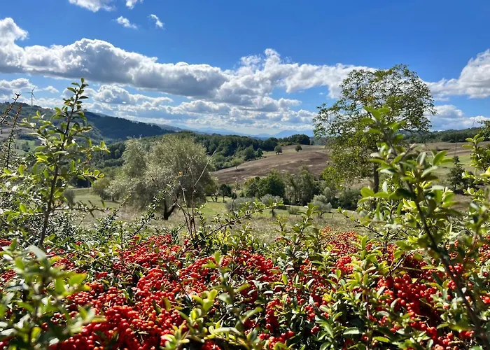 Campo Della Corte