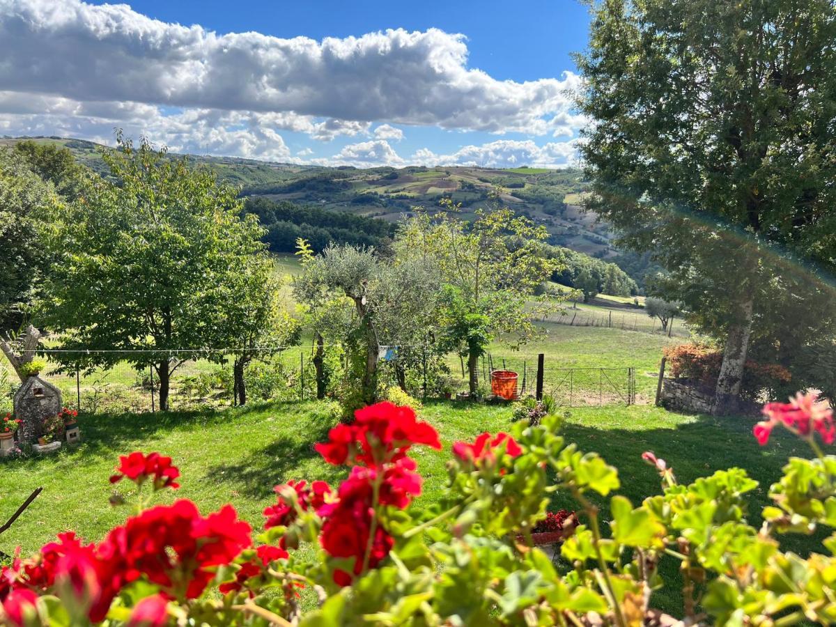 Campo Della Corte 3* Castelpagano