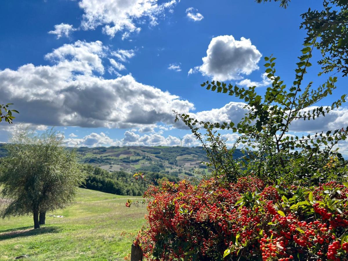 Campo Della Corte Bed & Breakfast Castelpagano