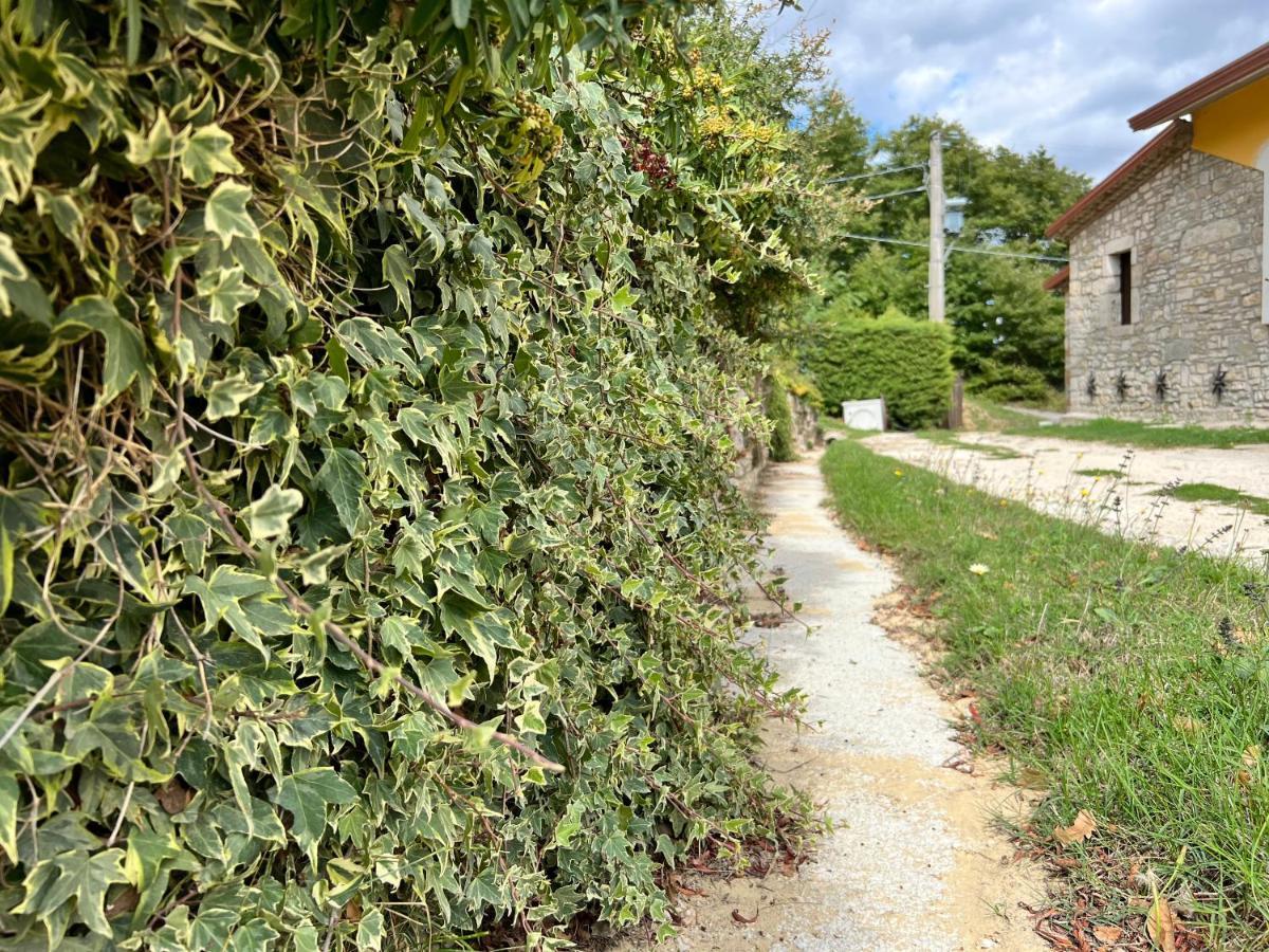 Campo Della Corte Bed & Breakfast 3*